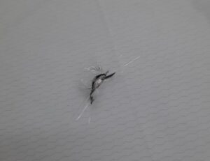 skol na stekle s podogrevom