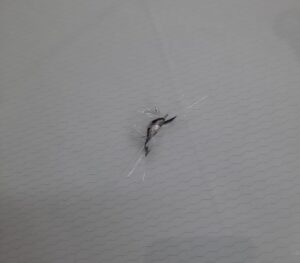 Kivitäke klaasil soojendusega