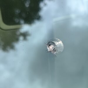 Tüüpiline kivitäke